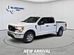 2022 Ford F-150 LARI
