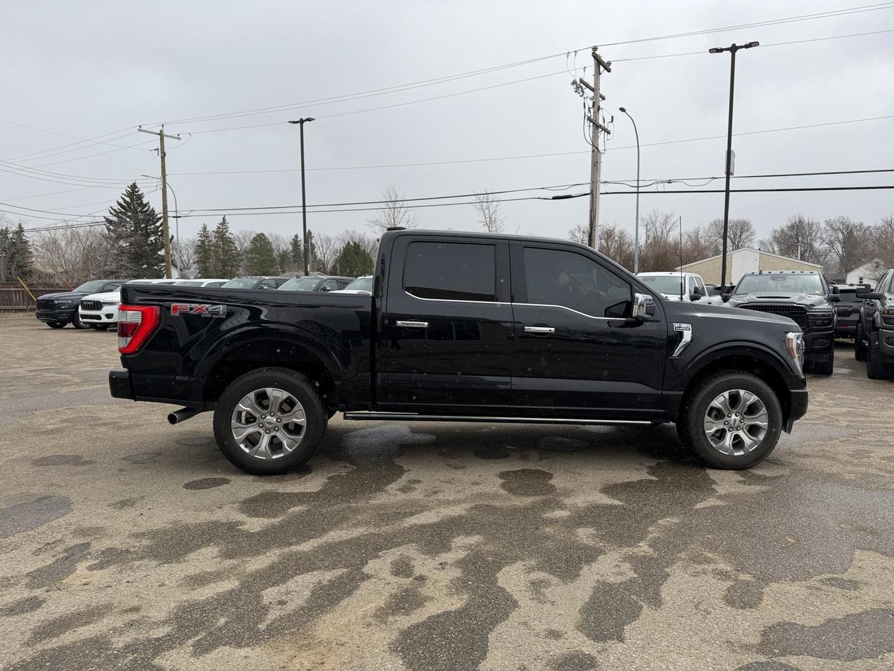 2022 Ford F-150 Platinum 4WD | V6 EcoBoost | Keyless Entry | Remote Start | Rearview Camera | Towing Capability Redwater AB