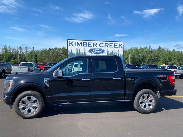 2022 Ford F-150 Platinum Pine River MN