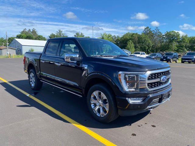 2022 Ford F-150 Platinum Pine River MN