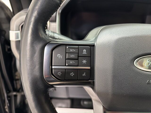 2022 Ford F-150 Platinum Pine River MN