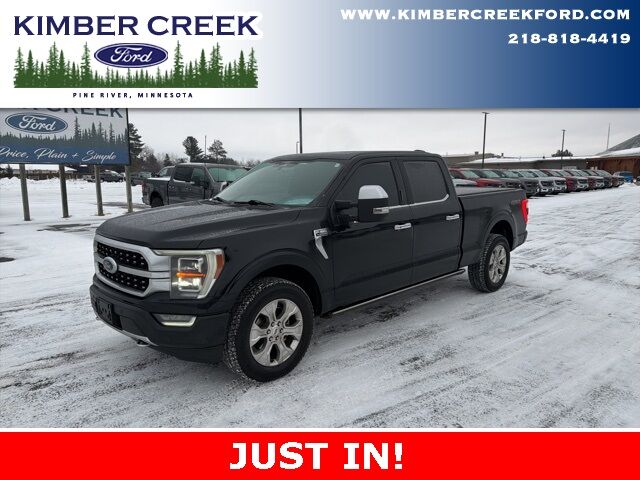 2022 Ford F-150 Platinum