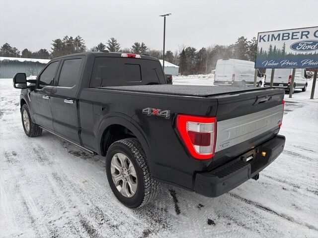 2022 Ford F-150 Platinum photo 2