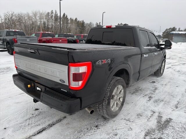 2022 Ford F-150 Platinum photo 4
