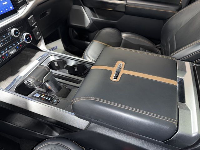 2022 Ford F-150 Platinum Pine River MN