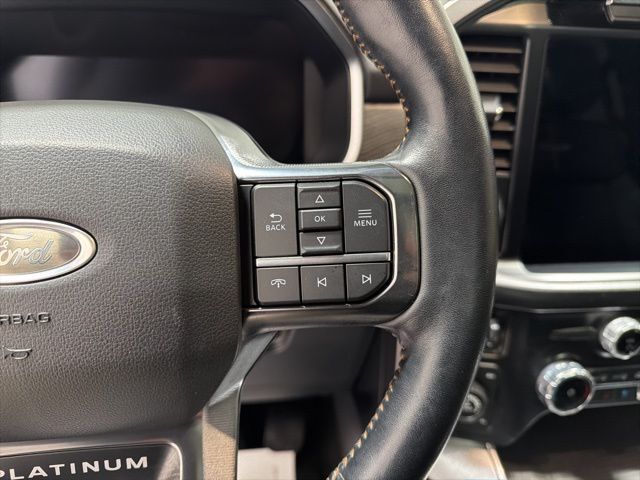 2022 Ford F-150 Platinum Pine River MN