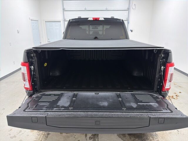 2022 Ford F-150 Platinum Pine River MN