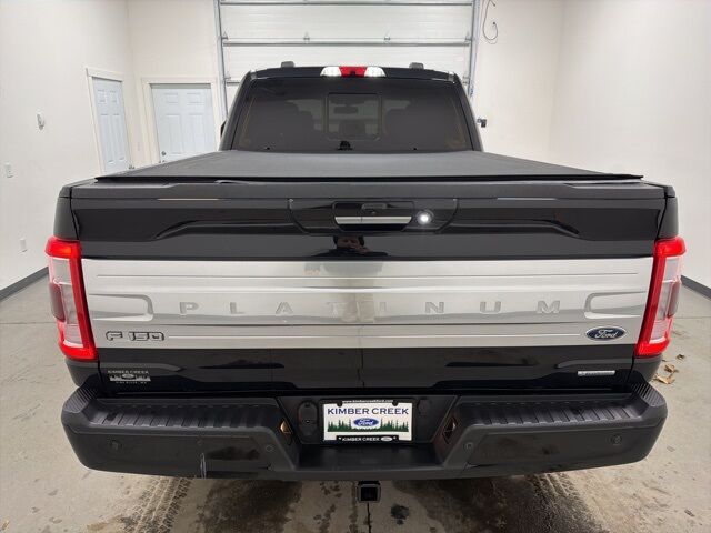 2022 Ford F-150 Platinum Pine River MN