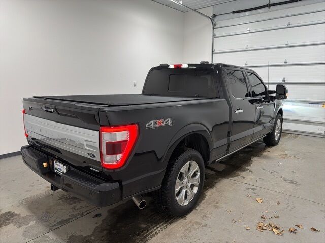 2022 Ford F-150 Platinum Pine River MN