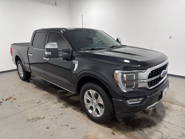 2022 Ford F-150 Platinum Pine River MN