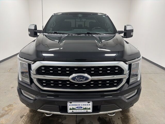 2022 Ford F-150 Platinum Pine River MN