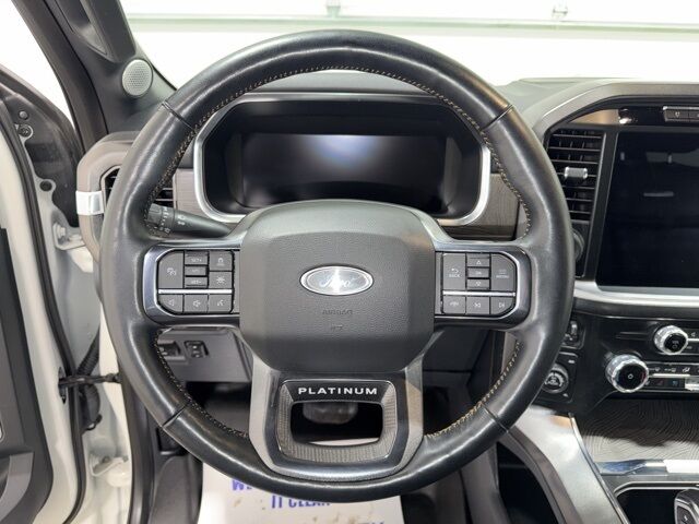 2022 Ford F-150 Platinum Pine River MN