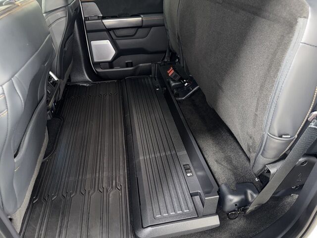 2022 Ford F-150 Platinum Pine River MN