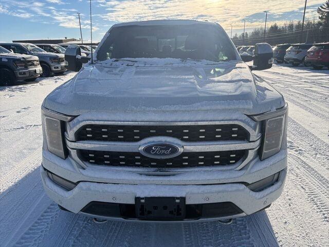 2022 Ford F-150 Platinum Pine River MN