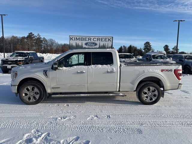 2022 Ford F-150 Platinum Pine River MN