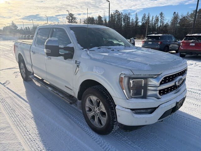 2022 Ford F-150 Platinum Pine River MN