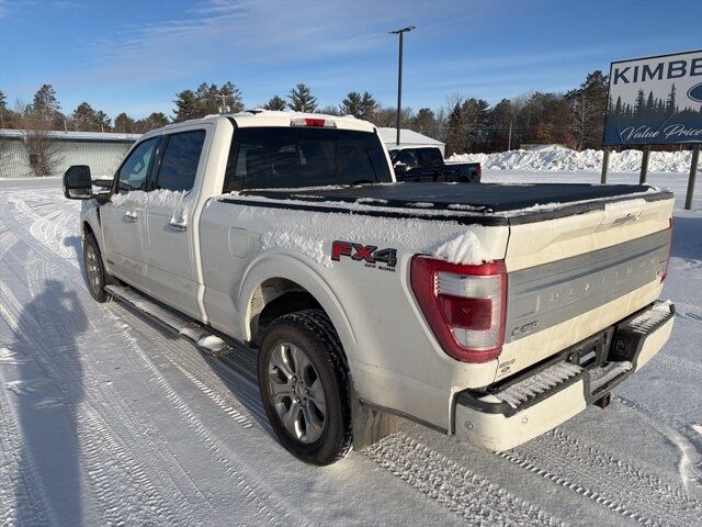 2022 Ford F-150 Platinum Pine River MN