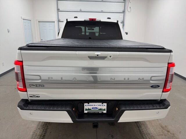 2022 Ford F-150 Platinum Pine River MN