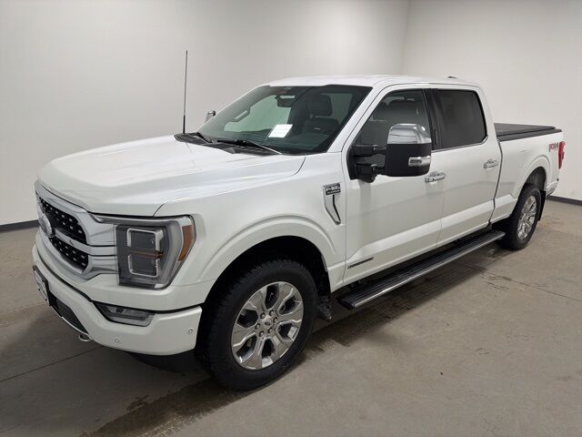 2022 Ford F-150 Platinum Pine River MN