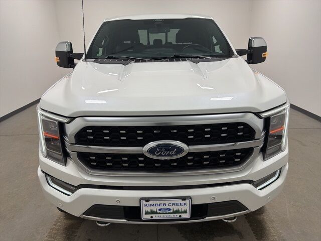 2022 Ford F-150 Platinum Pine River MN