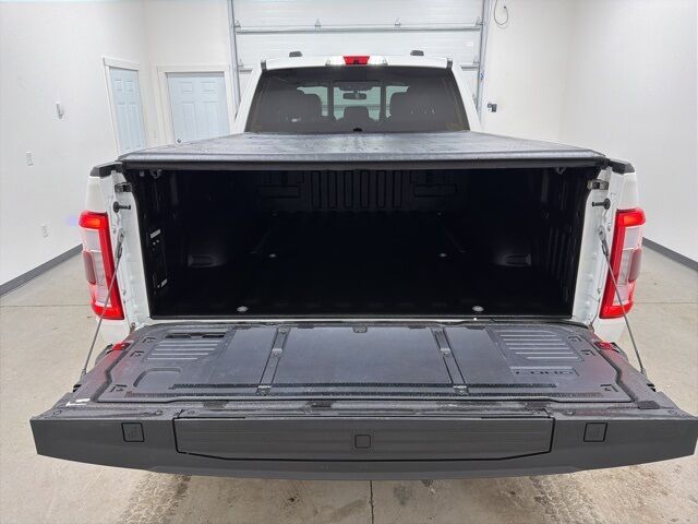 2022 Ford F-150 Platinum Pine River MN