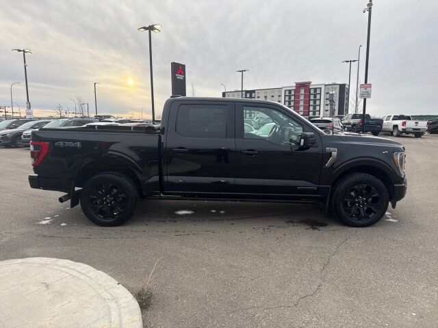 2022 Ford F-150 Platinum photo 2