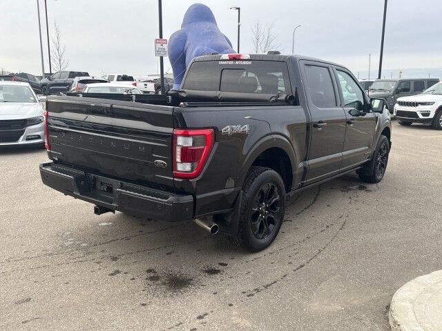 2022 Ford F-150 Platinum photo 3