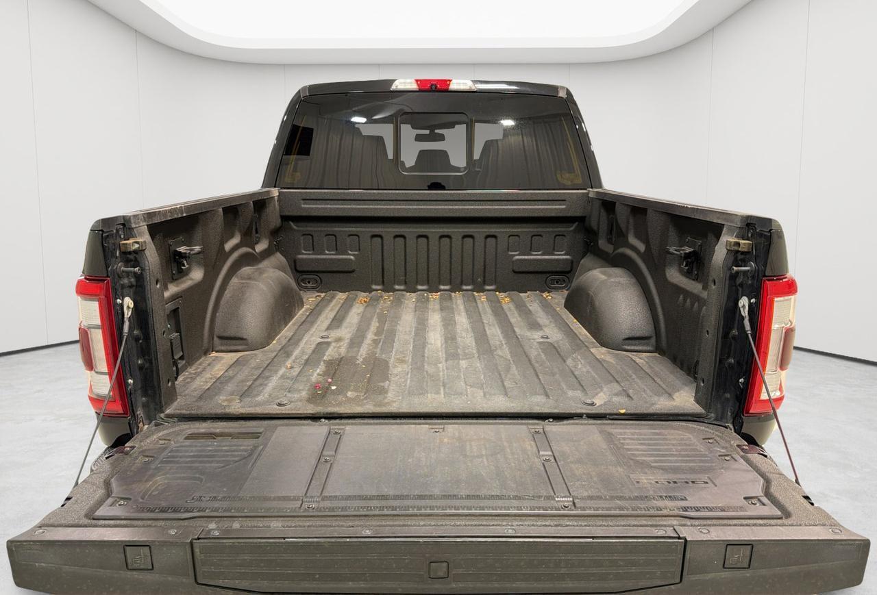 2022 Ford F-150 Platinum San Antonio TX