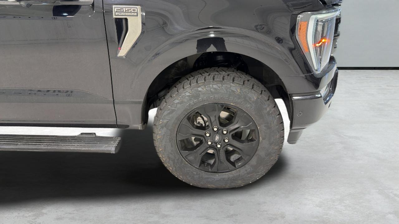 2022 Ford F-150 Platinum San Antonio TX