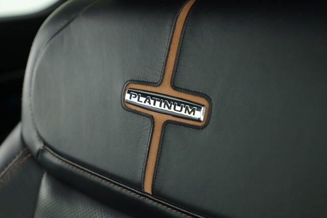 2022 Ford F-150 Platinum New Braunfels TX