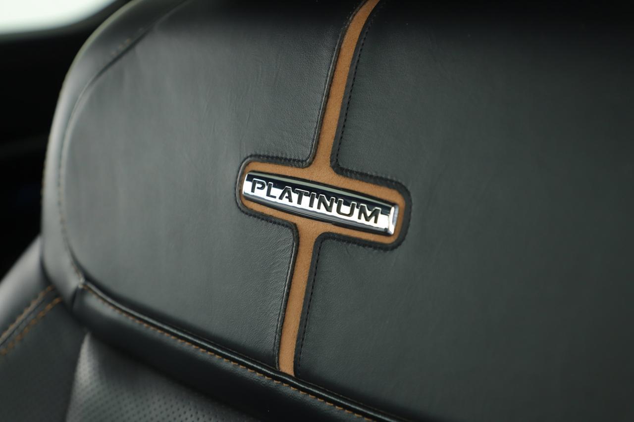2022 Ford F-150 Platinum New Braunfels TX