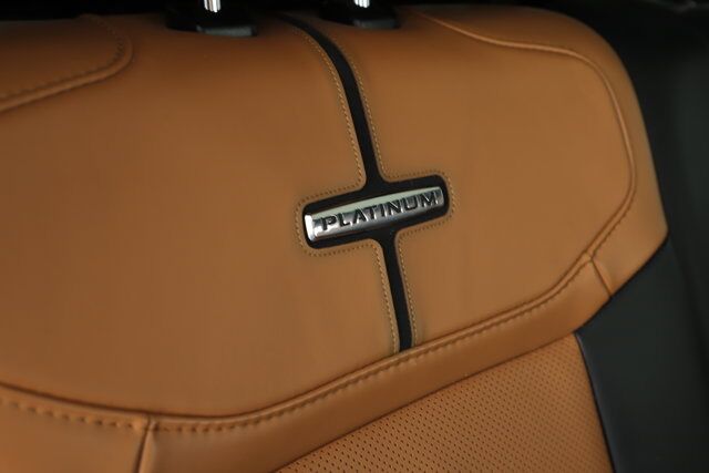 2022 Ford F-150 Platinum New Braunfels TX