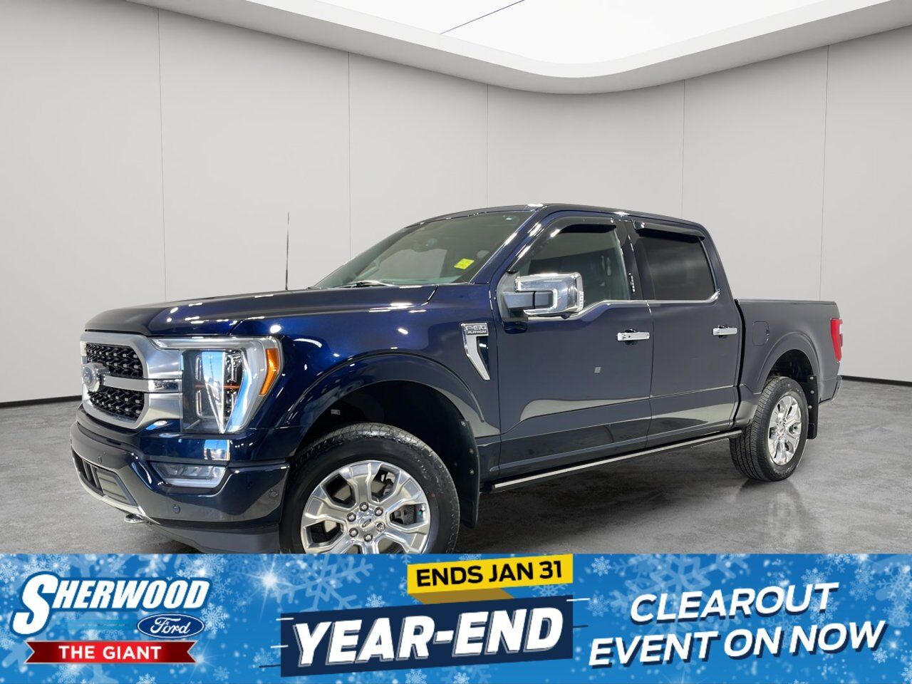 2022 Ford F-150 Platinum Sherwood Park AB
