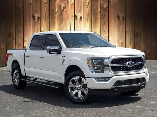 2022 Ford F-150 Platinum Tampa FL 2022 Ford F-150 Platinum Tampa FL