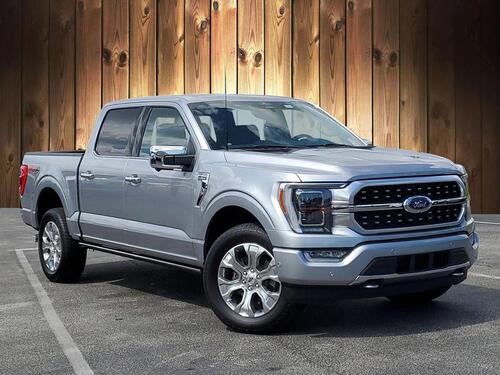 2022 Ford F-150 Platinum Tampa FL 2022 Ford F-150 Platinum Tampa FL