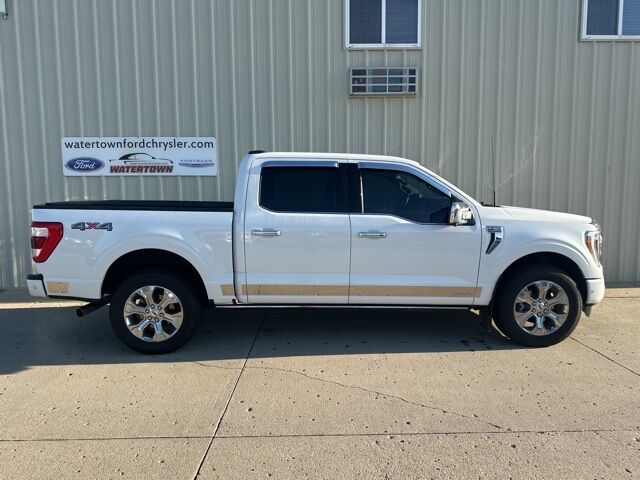 2022 Ford F-150 Platinum