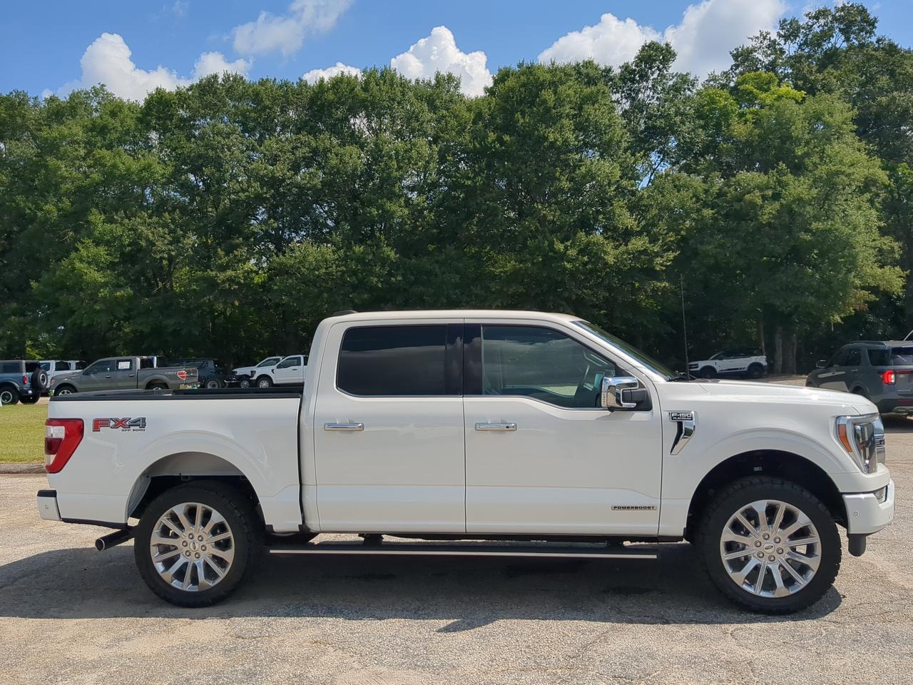 2022 Ford F-150 Platinum