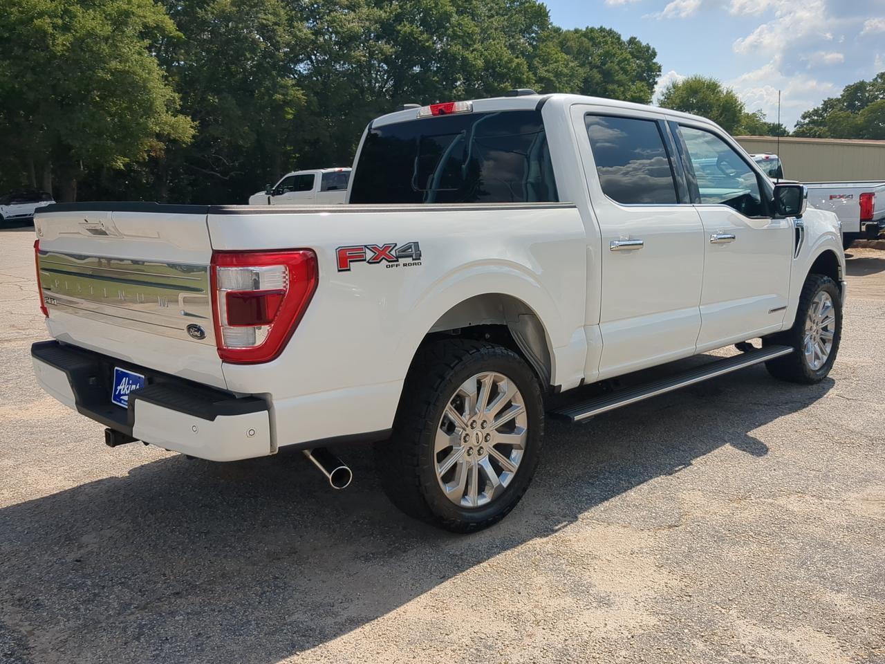 2022 Ford F-150 Platinum Winder GA