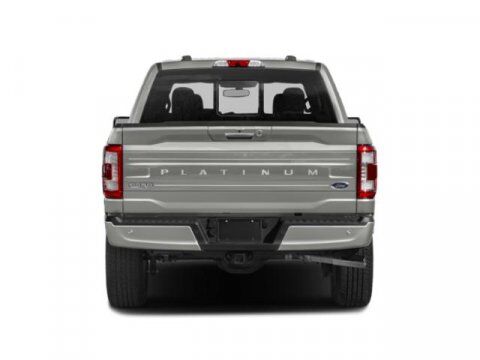 2022 Ford F-150 Platinum Winder GA