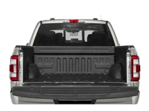 2022 Ford F-150 Platinum Winder GA