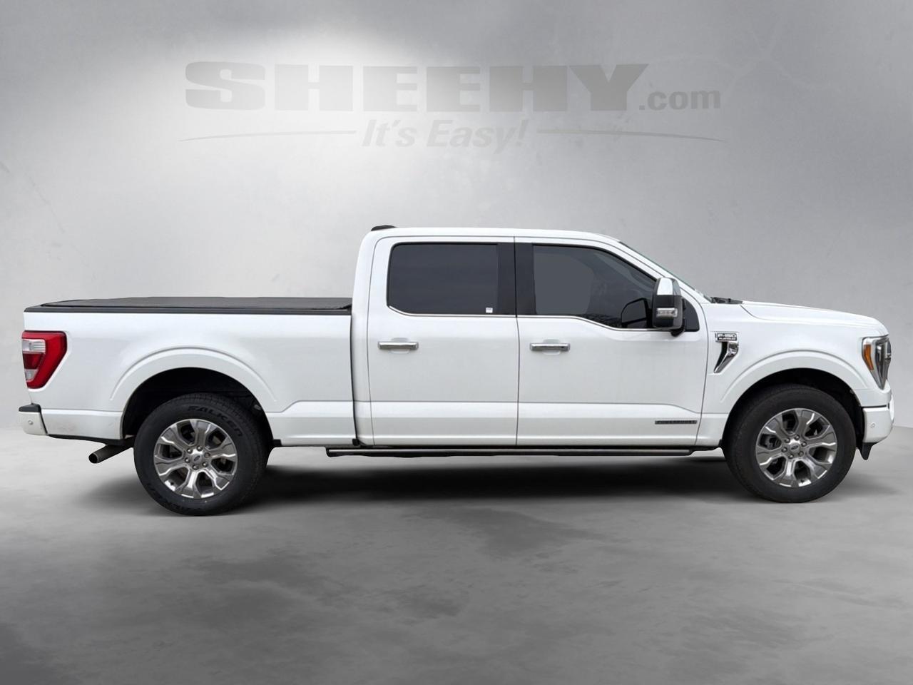 2022 Ford F-150 Platinum Ashland VA