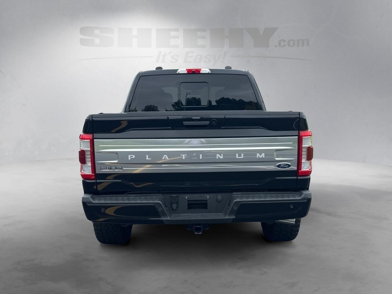 2022 Ford F-150 Platinum Ashland VA