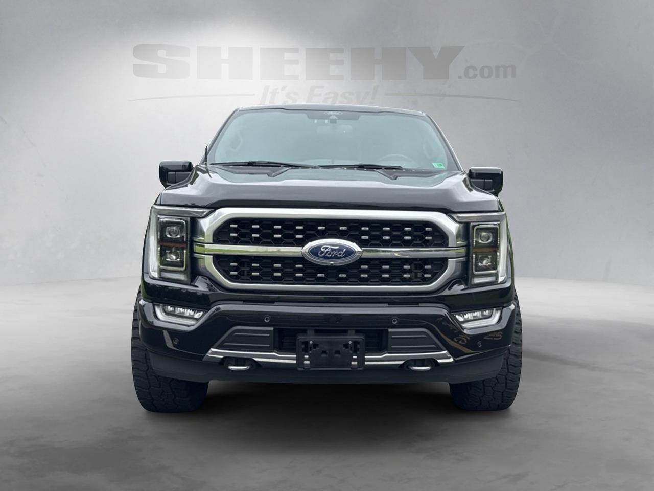 2022 Ford F-150 Platinum Ashland VA
