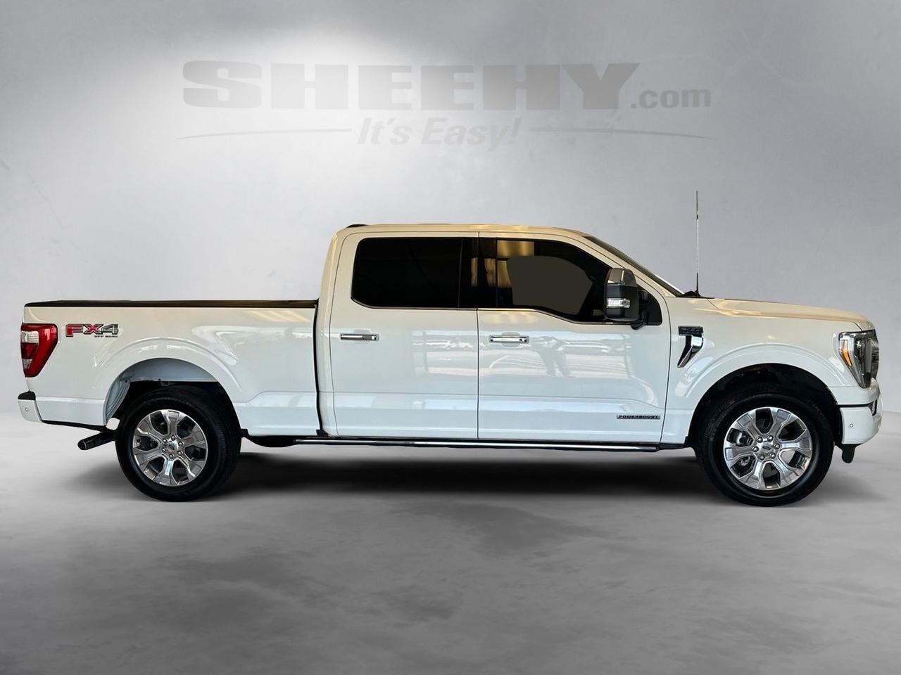 2022 Ford F-150 Platinum Richmond VA