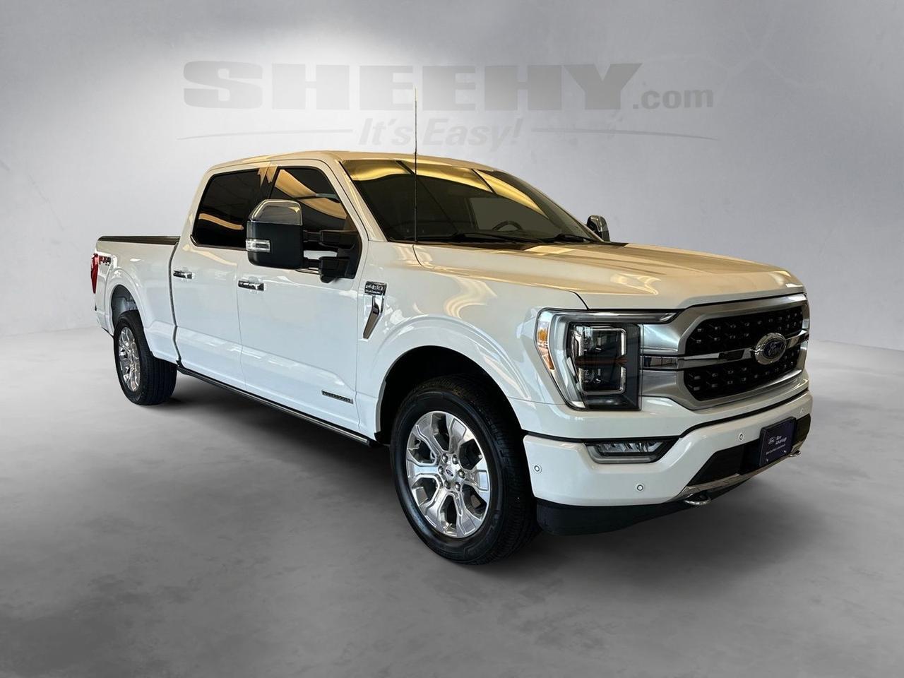 2022 Ford F-150 Platinum Richmond VA