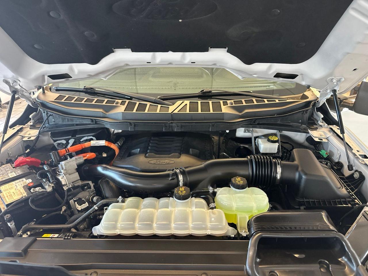 2022 Ford F-150 Platinum Richmond VA