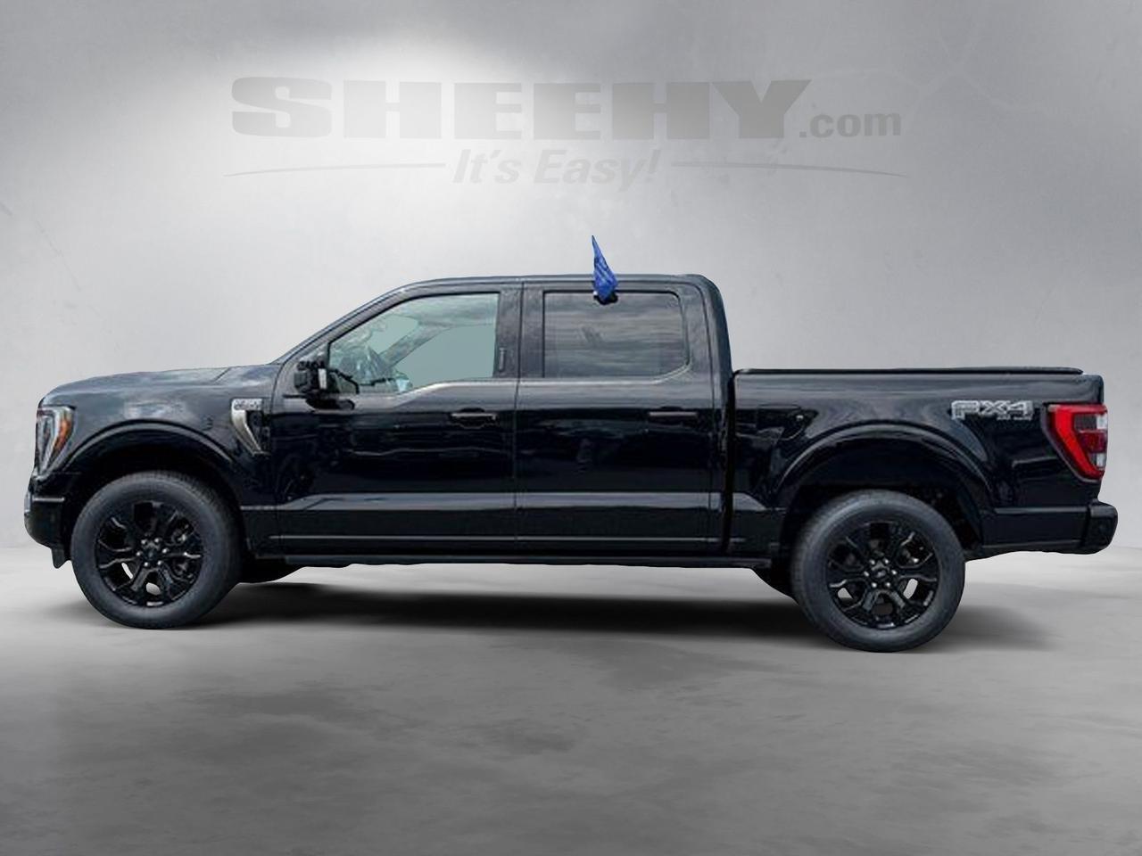 2022 Ford F-150 Platinum Springfield VA
