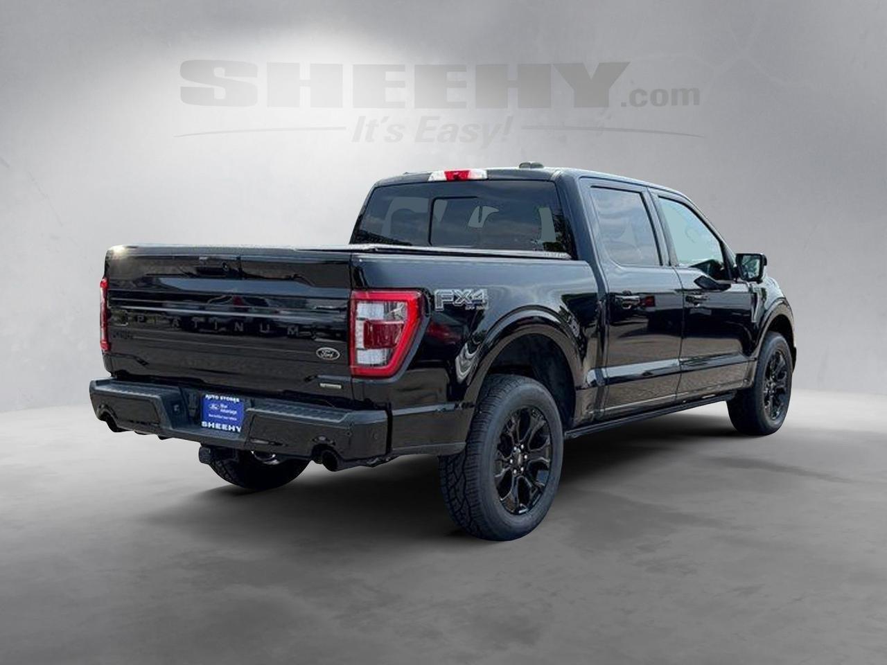 2022 Ford F-150 Platinum Springfield VA