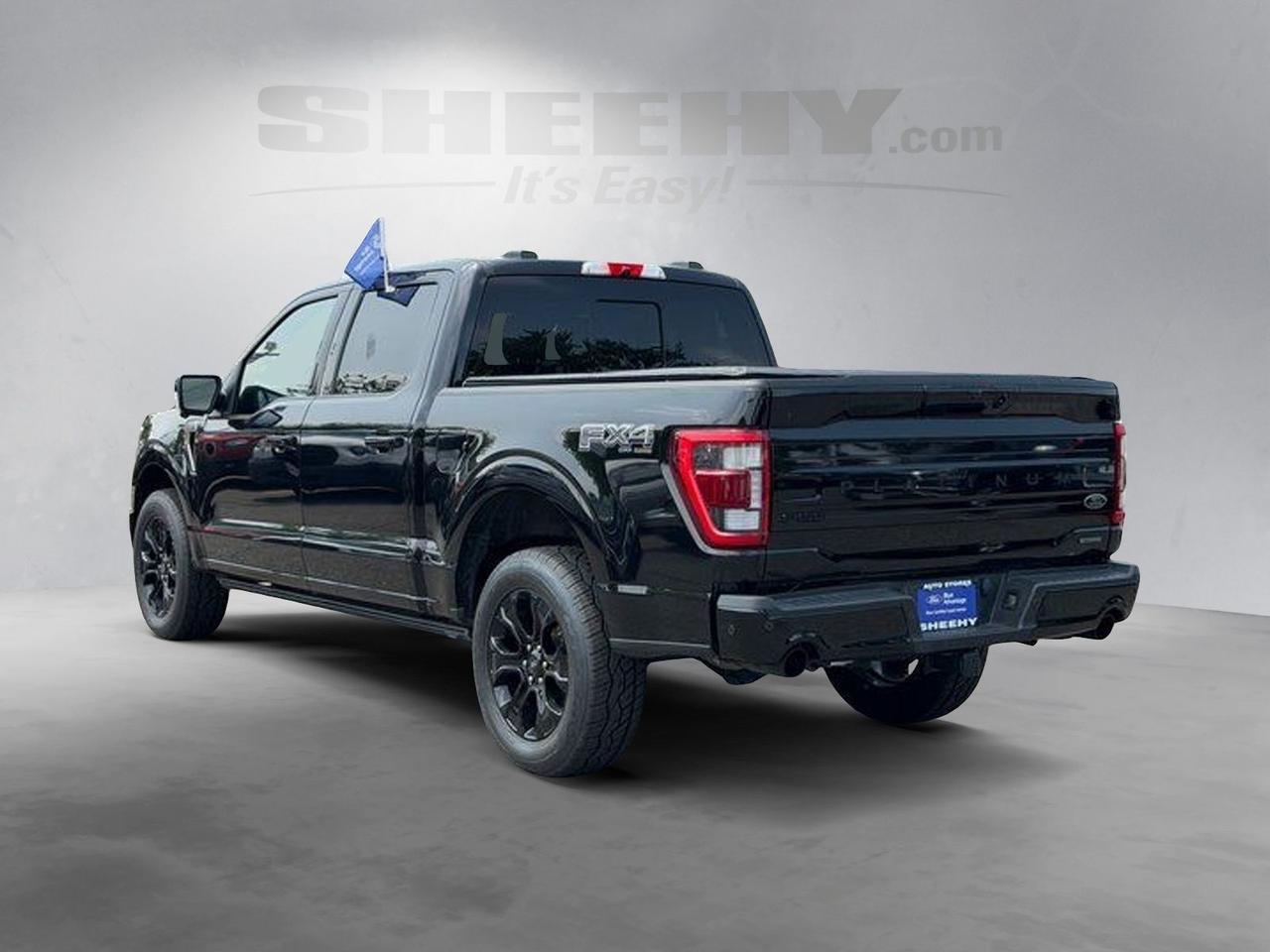 2022 Ford F-150 Platinum Springfield VA