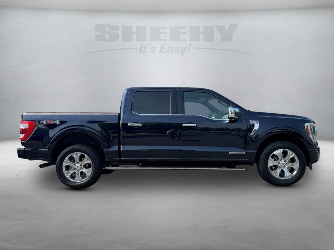 2022 Ford F-150 Platinum Chantilly VA